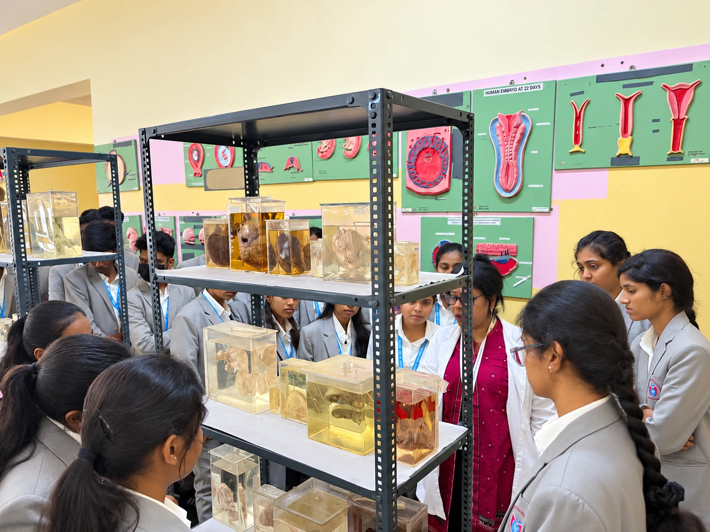 MVJ students examining specimens during practical learning